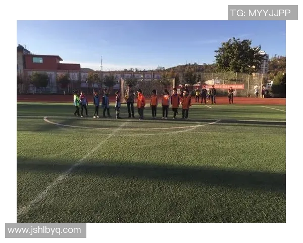 利比亚足球球星实力排行榜与历史最佳球员风采盘点